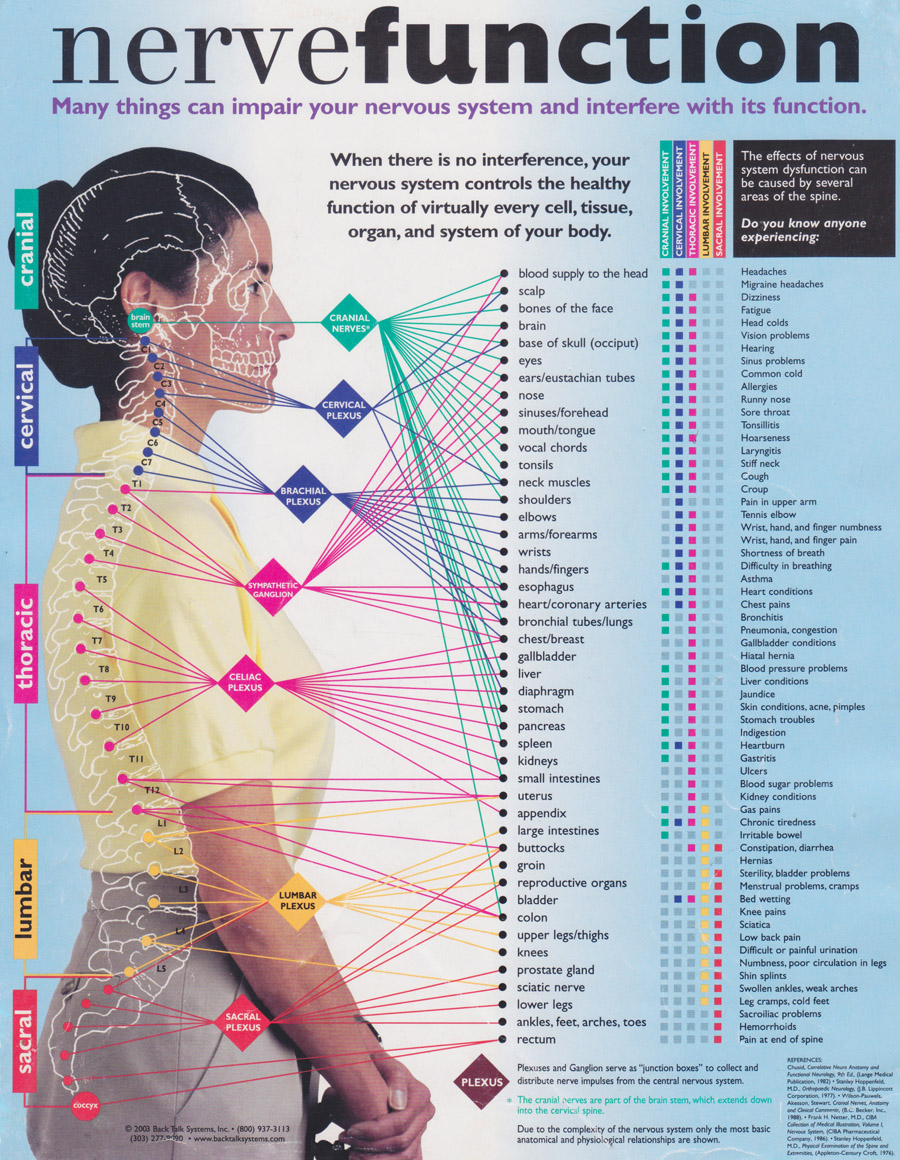 Your Spinal Alignment Affects Your Overall Body Function